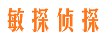 南海调查公司